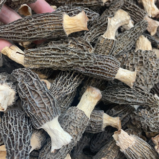 �ɾ�ʳ�þ���؛���l�S����Ǿ���؛���ԭ�a�����l�r��Ǿ����S