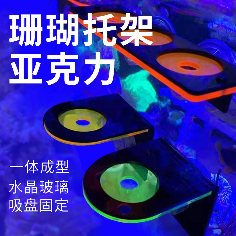 Fluorescent coral bracket Sea cylinder Everbright acrylic bracket…