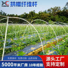 �����w�S���r�����Ѽ܏V��չ�ܲ����w�S�UС����U���֧�ܲ��w�U