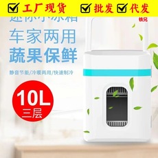 厂家便携式车载冰箱 迷你车载冰箱 车载户外通用药品化妆品冷藏箱 Car Chair Back Cartoon Dining Table Car Folding Beverage Cup Holder Car Bear Dining Table Dining Table Dinner Plate Storage Rack