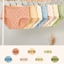 ����32388-32389Ů�����c����50֧�������m����ѝ�־�͸���ѝ