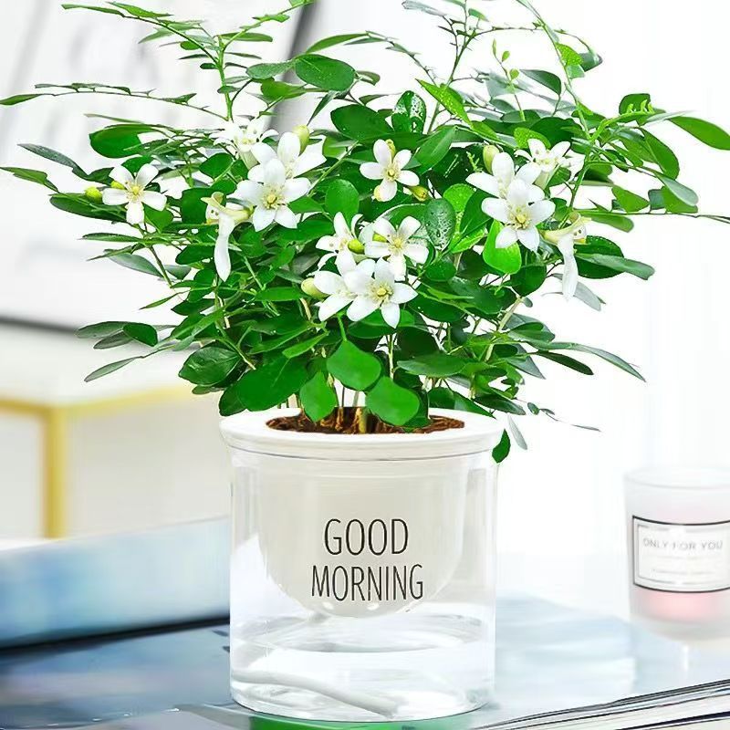 微信图片_20250323174808