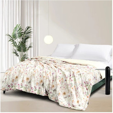 ˮǼҼı{DH DHѬLı 200cm×230cm/l