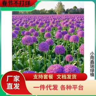 һ�����l������g/�M�ڴ��[�N��-��ʹ�������Ե����ͺ��������