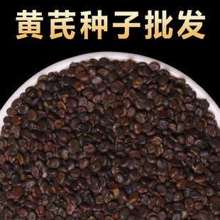 �S�ηN����ș�ă����S�ηN���F�����ηNֲ�箔�w�h�������