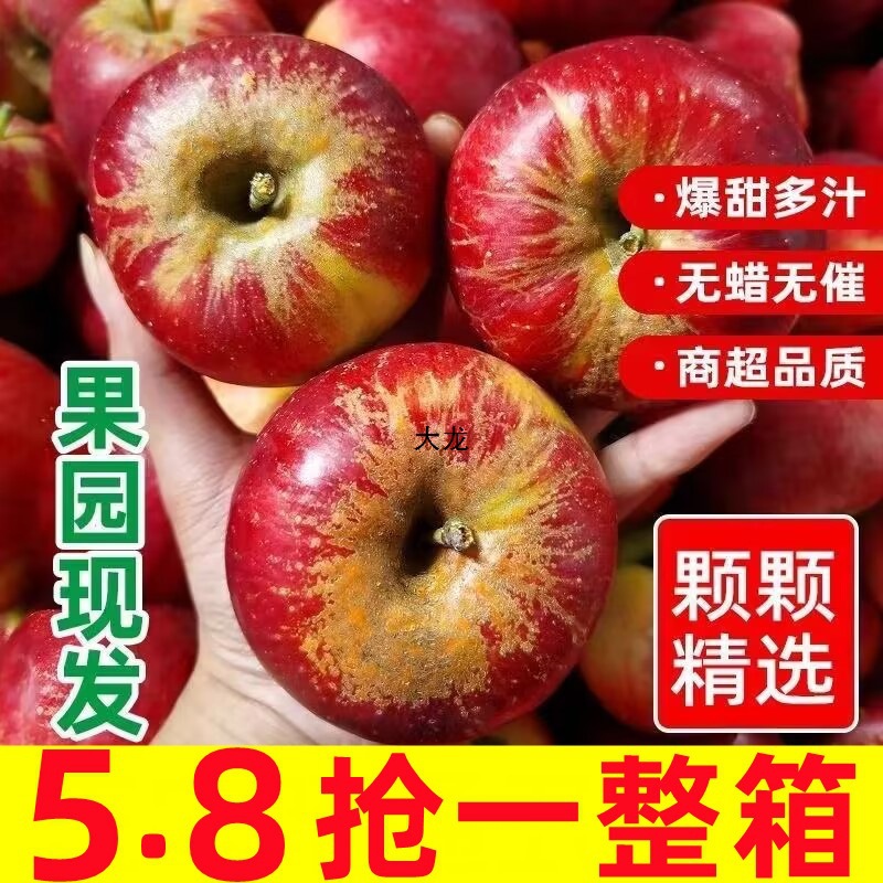 四川大凉山丑苹果冰糖心苹果新鲜水果当季整箱红富士萍果10