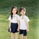 Primary School Students' Garden Clothing Summer Fashion New Chinese Style Short-sleeved suit School Uniform for Primary School Students Chinese Style Sister and Brother's Dress Ethnic Style