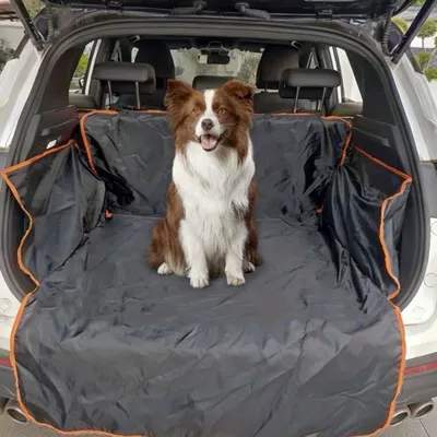 trunk mat, Trunk Mat
