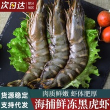 �ڻ��r��̖�r������ϻ��r���r���r��Ź��r�߹��r�ϻ��r����