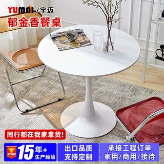 郁金香桌子网红ins风餐桌家用阳台小户型茶桌美容院奶茶店小圆桌