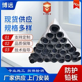 铅及铅合金材;铅