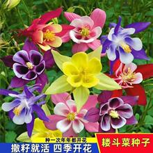 e˷NͺܷNѶ؈צļ̨ͥԺNֲ