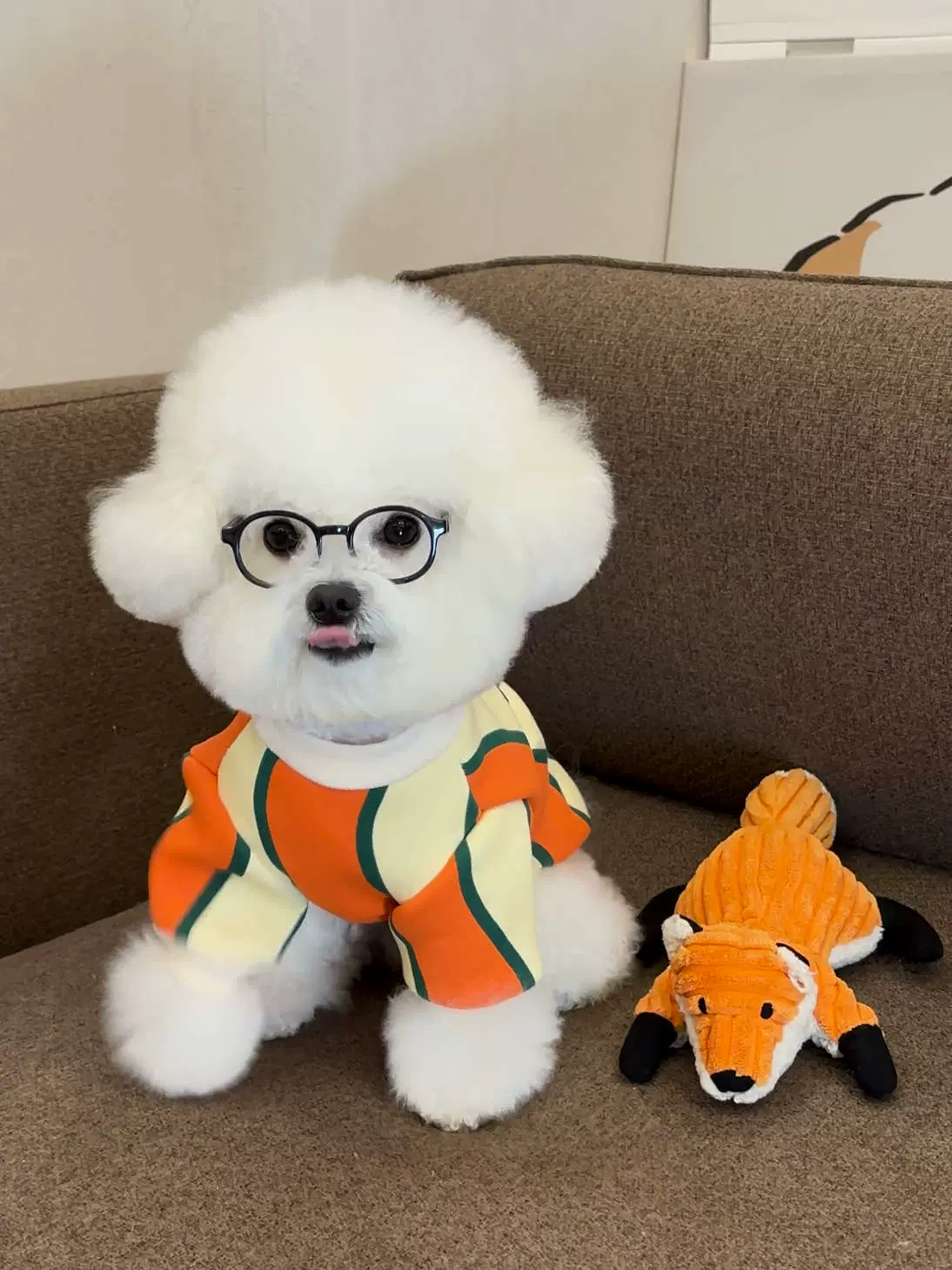 宠物狗狗猫咪衣服比熊博美背心马甲冬季保暖绒衣加厚加绒加厚