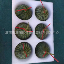 水果泡沫套珍珠棉内衬白色棉泡沫包装填充物珍珠棉泡沫批发