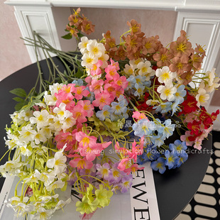 ������ͩ��@�LС�黨�廨���滨��c�ٻ�ˇ���Ŀ羳���Q���R�d