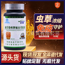 现货诺卡鑫藏草珠峰牌蛹虫草胶囊成人中老年增强免疫力的保健功能