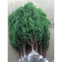 һ�����l���ؘ����ɘ���A�؎����������Ȱؘ��������ɰؘ���