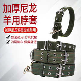 羊脖套宠物项圈小型中型大型犬栓羊羊脖子用具保险扣脖圈牵引绳