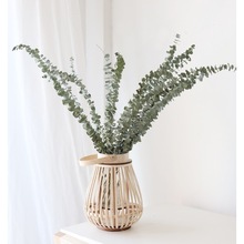 2026WULIHOME �񾎻�ƿ�ֹ�������ػ������\�͏d���õ����R��