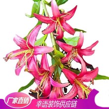 仿真花卉反转百合仿真植物枝花装饰婚庆用品摄影布置道具