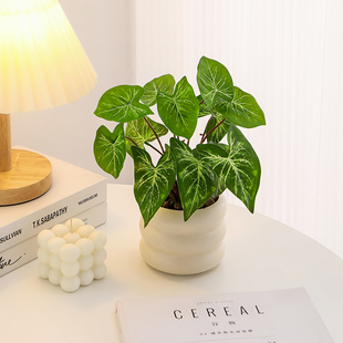 Simulated Plants Scandinavian Decorative Potted Plants Office Living Room Desktop Indoor Bonsai Small Ornaments Bionic Fake Flowers and Green Plants
