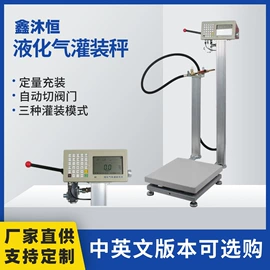 其他衡器;地磅;电子秤