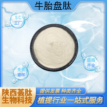 ţ̥P ţ̥P; 500DaˮʳƷԭ ţ̥PȡF؛