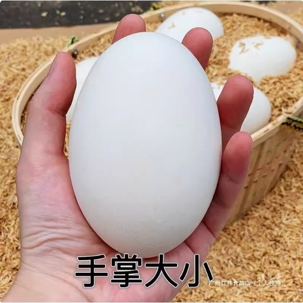 用鹅蛋散养好蛋个头大热卖农家孕妇河水鹅蛋土大野外放养鹅蛋批发
