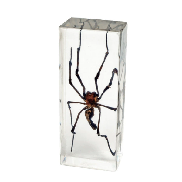 11CM large grimace spider