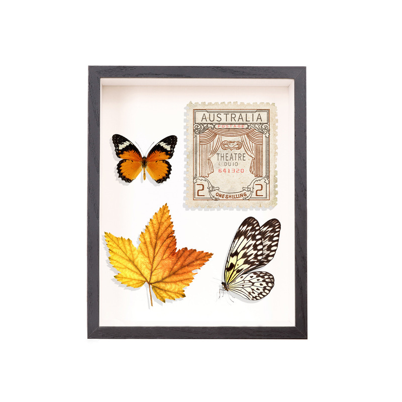 Creative DIY Dried Flower Butterfly Specimen Frame Hollow 3cm Photo Frame Dried Flower Doll Decorative Frame Display Stand Girl Gift Creative DIY Dried Flower Butterfly Specimen Frame Hollow 3cm Photo Frame Dried Flower Doll Decorative Frame Display Stand Girl Gift
