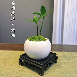 ������\���~�k���ҾGֲ�����҃��k�������ļ�ꖹ��Ї��LС����