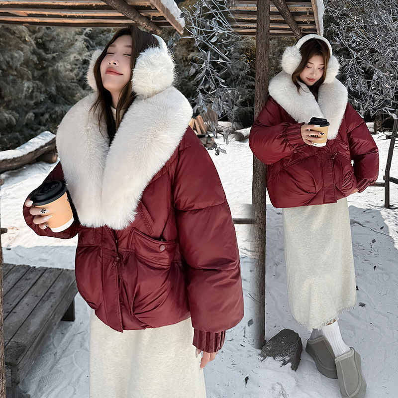 ヨーロッパとアメリカの綿服 2025 冬の女性のダウン綿ジャケットトレンディなスタイルのパーソナライズされたストリート大きな毛皮の襟ショートフード付き綿ジャケット|undefined