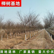 �Θ���� ������� �S��ֱ�N �Θ� �t�� �е������l