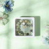 Watermelon beads-Afraid of dogs (boxed)