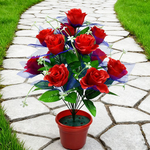 �x��������ˇƷ�S�����l���潁������12�^������ȸõ�ٻ�õ�廨��