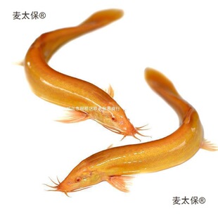 ���~���l���q�^�p�~�����~�����~������ˮ�ͻ���B�^�p���q������