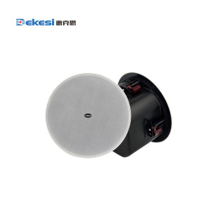 Dekesi/dekesi-backcasting Conference Engineering-d-8TH-high-fidelity Ceiling Speaker