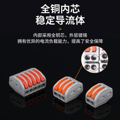 Rapid Connection Terminal General Purpose Wiring Building Flexible and Rigid Wires Two-In, Two-Out Electrical Connector, 60pcs