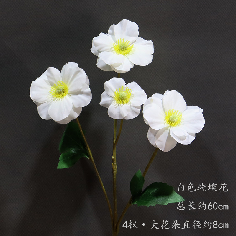 Flor de mariposa blanca