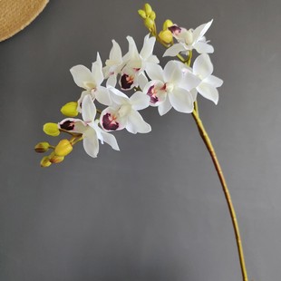 �����ָ��^�zǧ�B�m�����mޥ�m���m �W�t��c�Ʒ���ֶY�b��仨