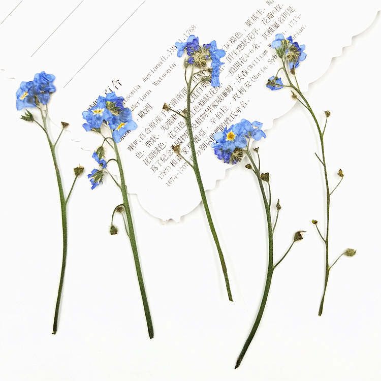 IMG20190623100635.jpg