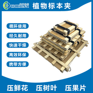 Plant Specimens with Wax Leaves Traditional Chinese Medicine Specimens Making Wooden Specimens with Full Set of Corrugated Paper with Absorbent Paper