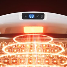 �羳˦֬�C�����ݶ�������ȼ֬����٘��ȫ��p�ʑ����\�Ӱ�Ħ�x��