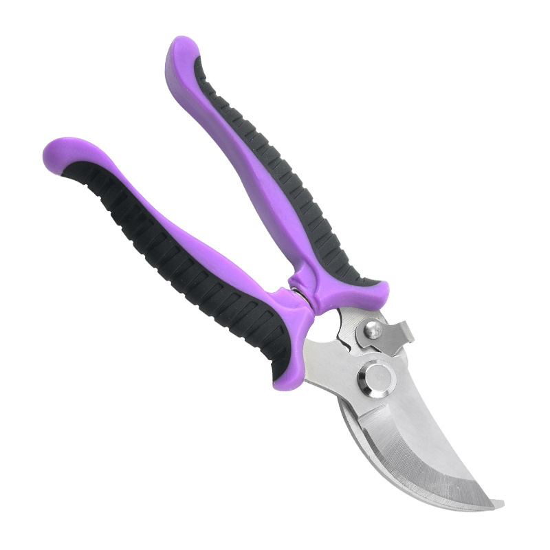 보라색 가지 가위
