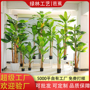 ����Ž��䱱�W����������˽��㽶���b�С�仨���҃���[��