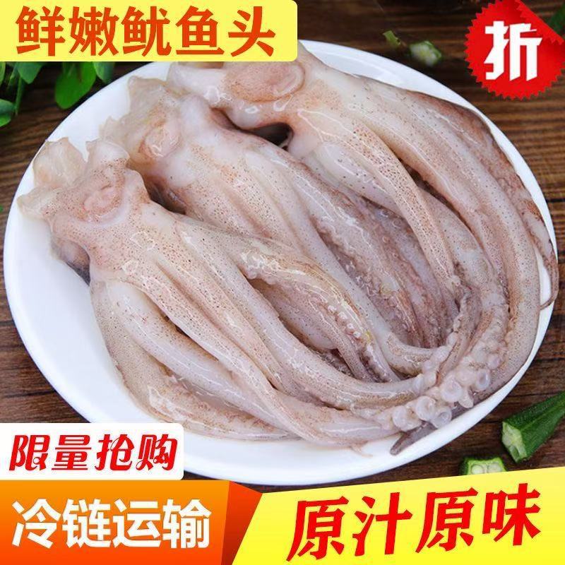 新鲜鱿鱼须原切鱿鱼头鲜活冷冻生鲜尤鱼铁板鱿鱼串腿海鲜商用批发