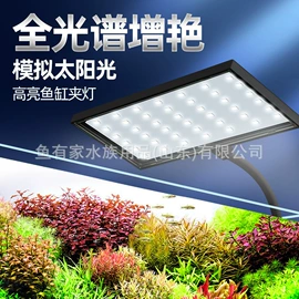 鱼缸;水族过滤设备;水族照明设备