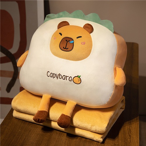 카피바라 오렌지 모델