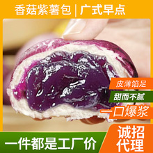 广式包点紫薯包营养早餐粮食半成品商用家用半成品加热即食无需解