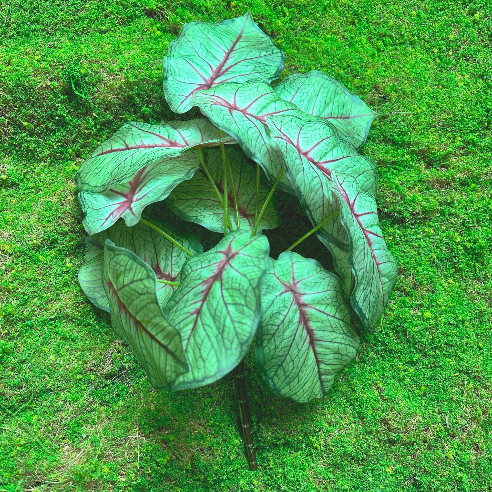 Fairy Cave tortuga hoja sentir arreglo floral hoja material planta esquina ventana belleza paisaje decoración artificial planta verde mango haz